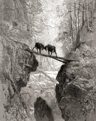 De två getterna, från en sen 1800-talsutgåva av Fables de La Fontaine (trägravyr)